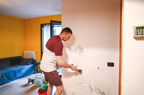 Best Post-Flood Mold Remediation in Safety Harbor, FL